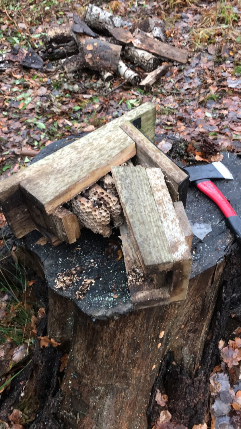 8615CF82-41AC-49AC-BFB5-517E4010F32B