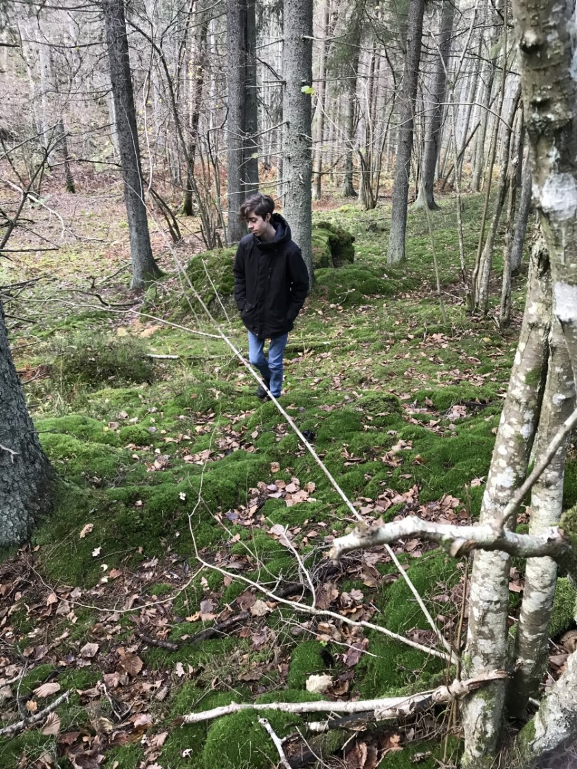 E64BBB11-3569-4A40-B076-71E15456F2C4