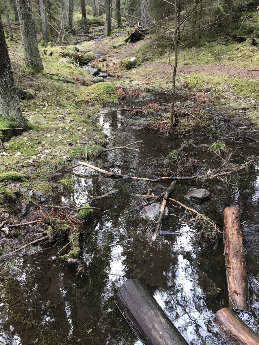 BC65A504-05A2-4FDE-8584-6F1FE030E22E