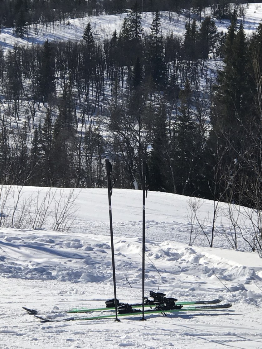 8C3805EC-ACEE-4498-9541-C46B08BBFCFA