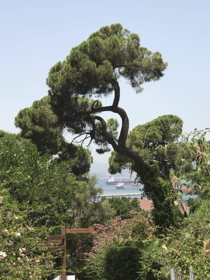 0A29D3D0-3DF3-4F82-8F18-255994E3BFF3