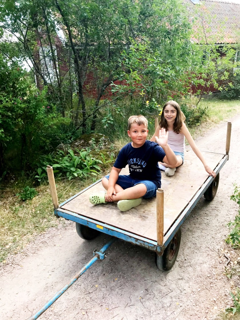 37A91474-2D2E-4598-94A4-A974DD495662