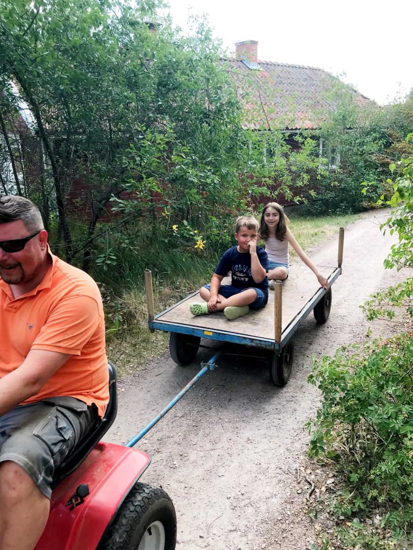 8EFF2B2D-C0FC-4948-A545-F9578112375F