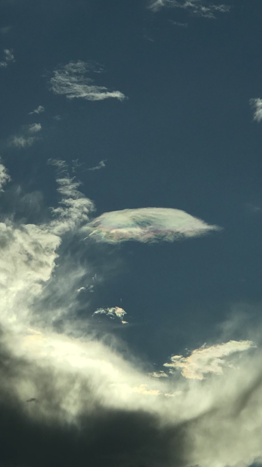 652F75FC-29F2-45D3-876D-486FC291E5DB