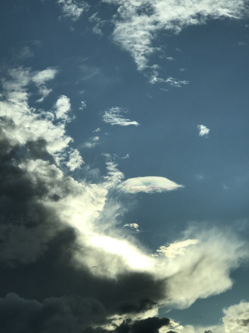 82401175-23E6-498D-9833-12F78D46D607