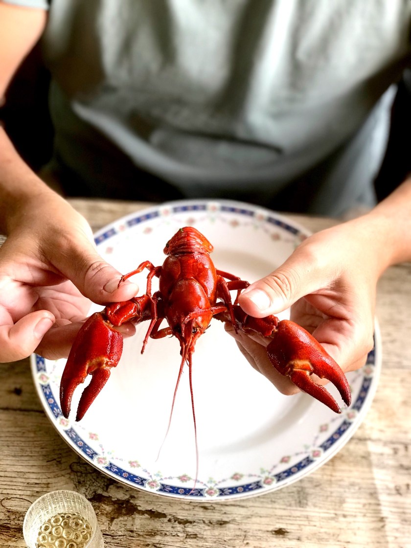 C00FC90E-2FC5-4E7B-9323-D07BE106E5E8