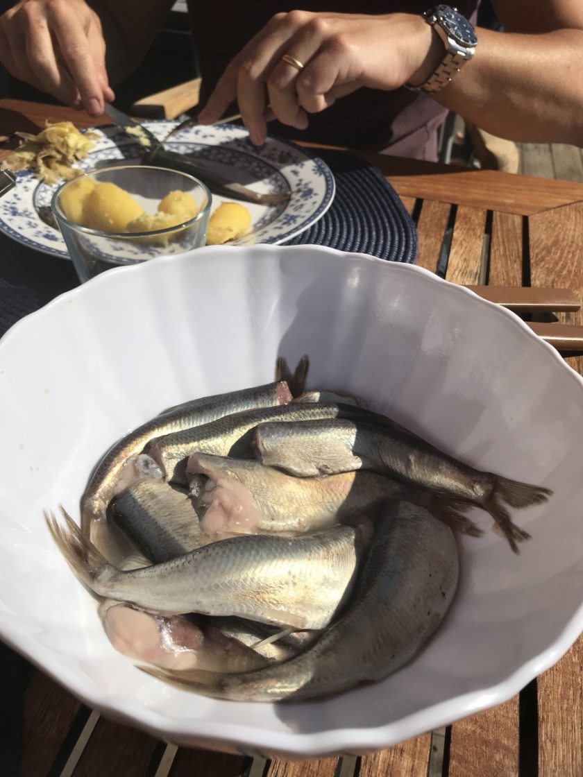 24FC2C4D-4FAA-48CB-BE3E-02FDBFF41CDE