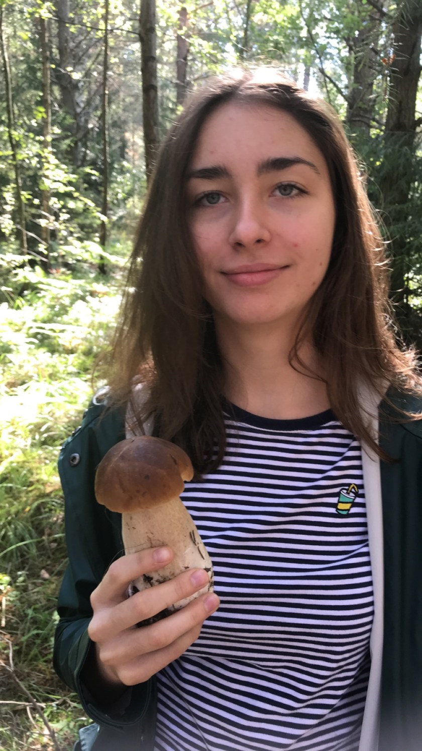 D66DA74A-428E-41BF-B99D-C30F969A684C