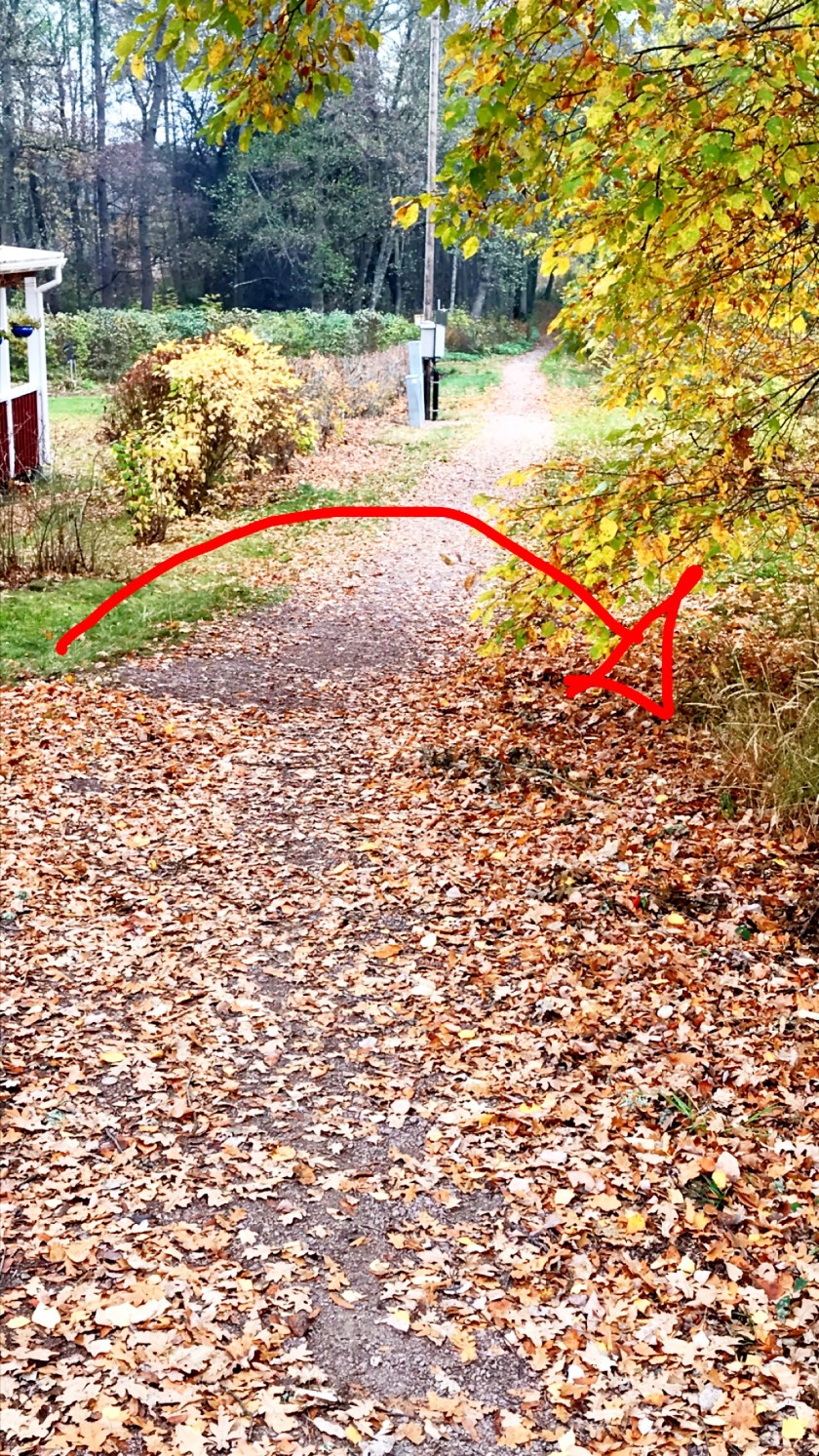 18CB1183-D8C0-471D-88BC-7E733A5ECA8C