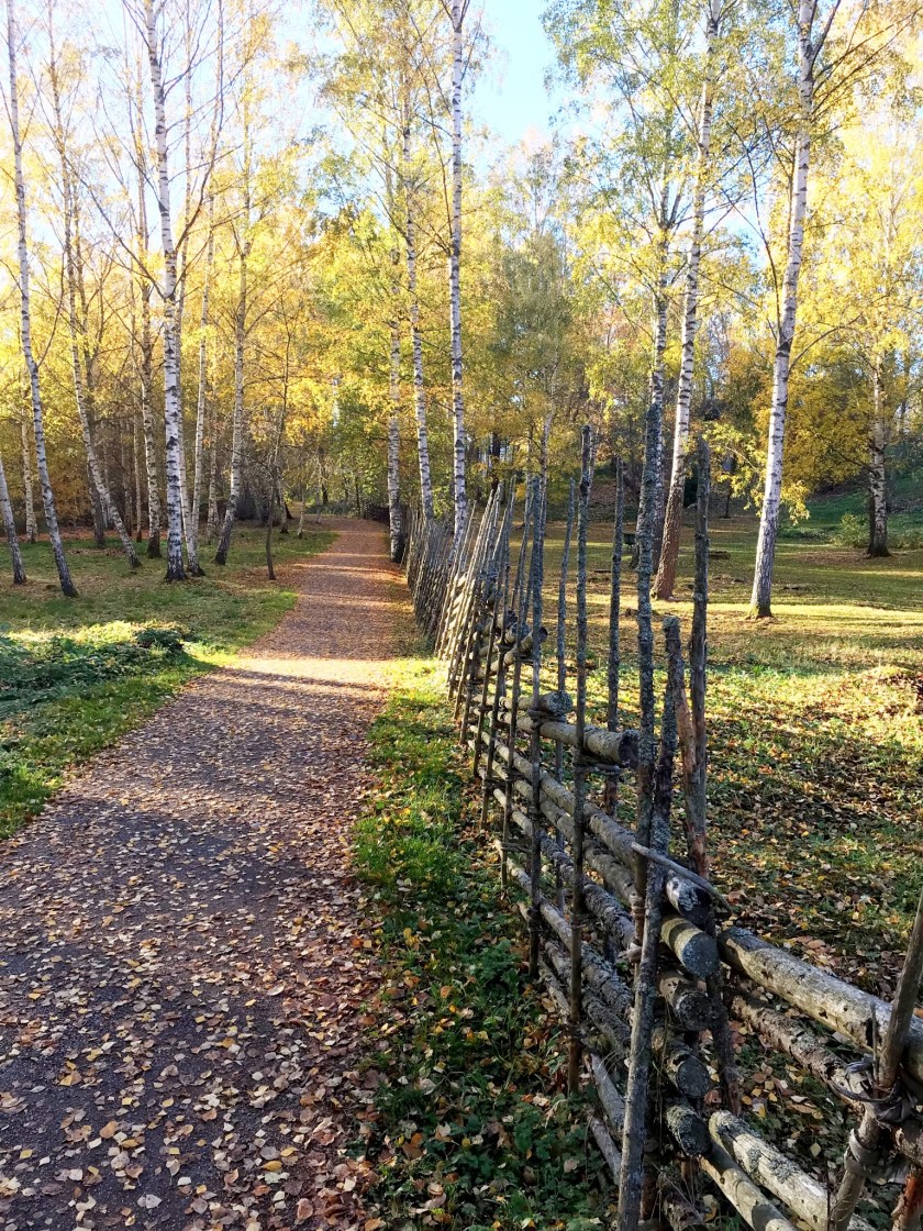 BE1F8E33-5953-4E19-BDCE-0EC87098F973