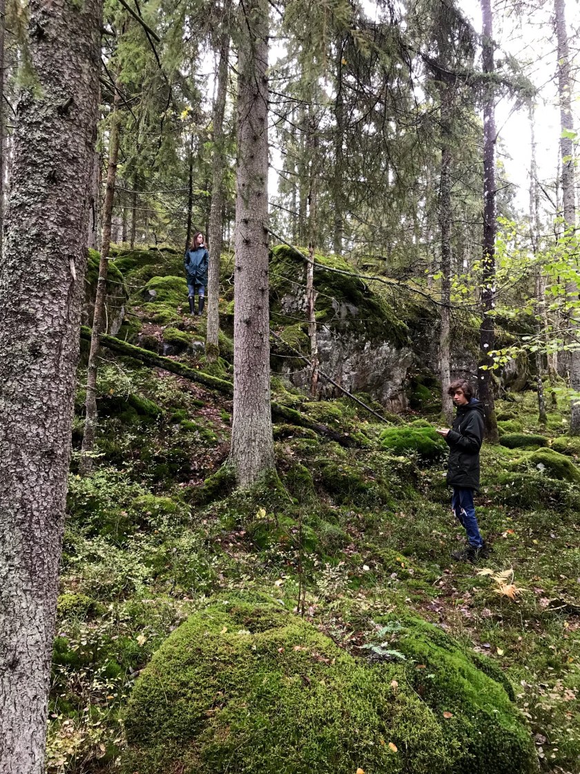 C013136F-B457-47CF-A350-BC4AF51CCF10