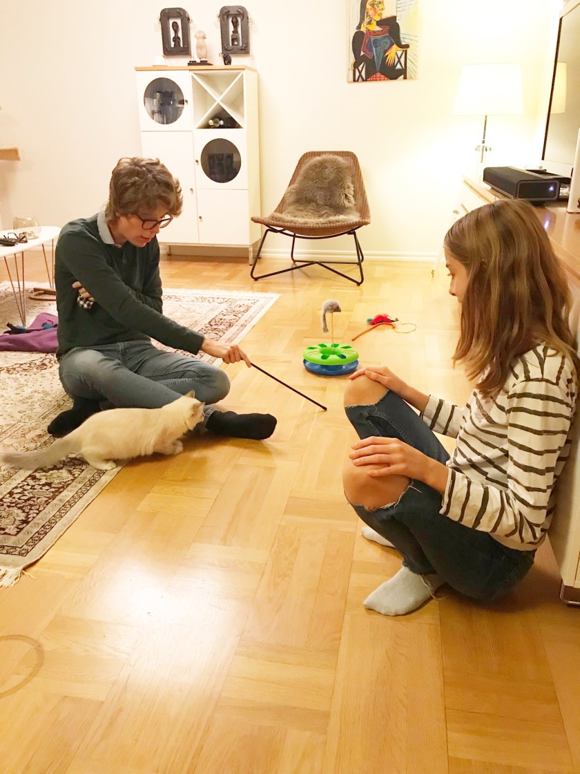 F8A0F61C-FB81-4D31-9AC6-15016AB96FA4