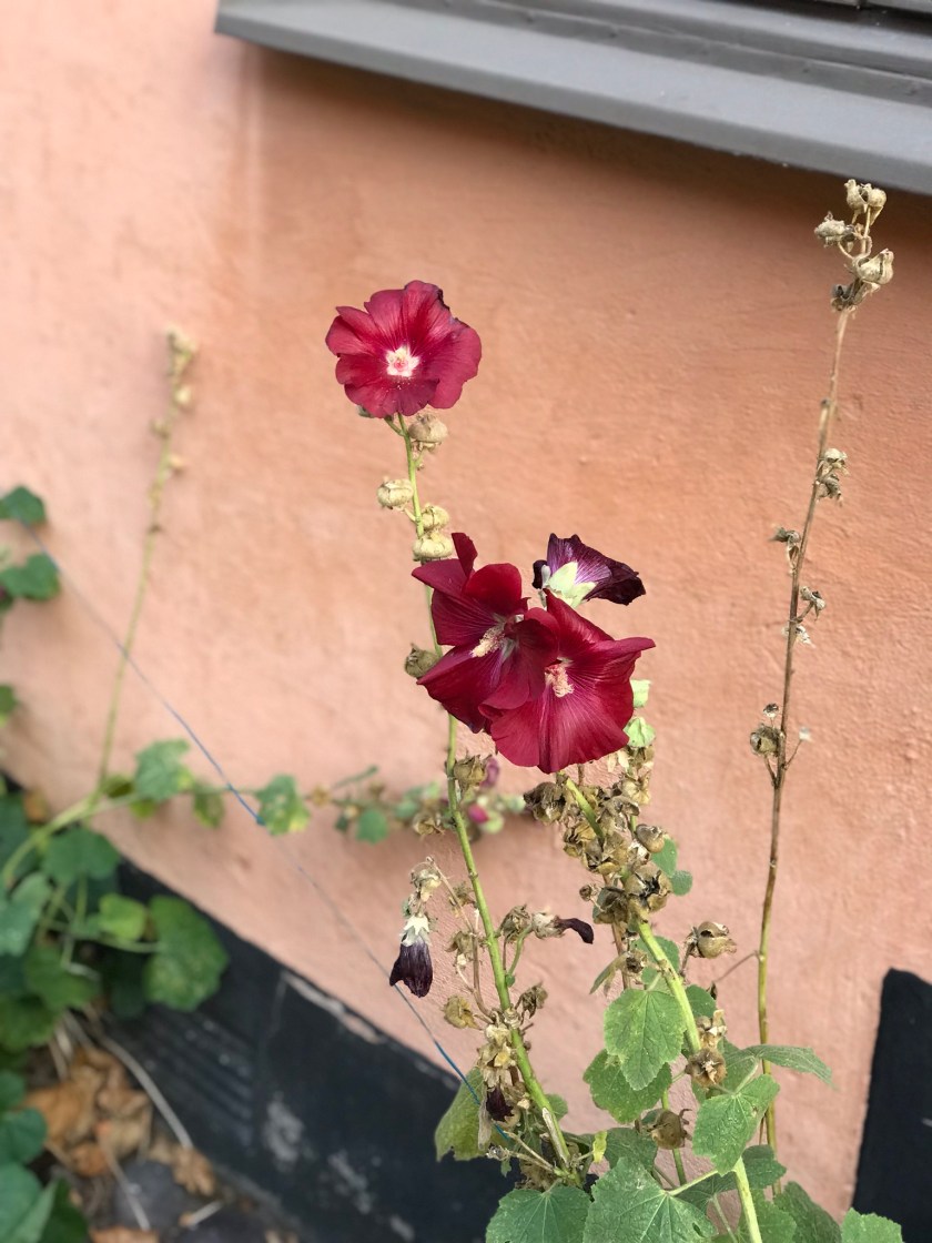 1442C3CE-EF7D-4704-B110-76A9E1A9957F