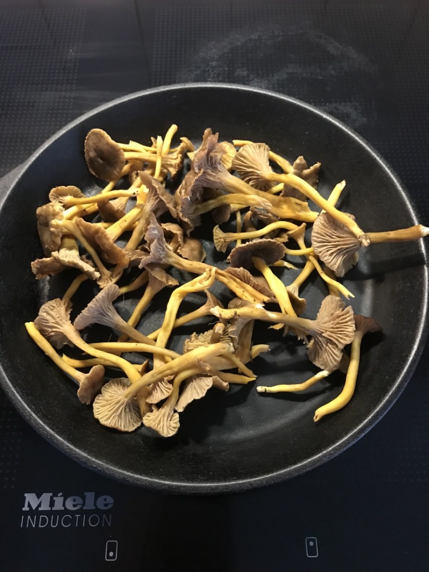 5C8F570D-E3DB-4A44-8456-604DC12C770A